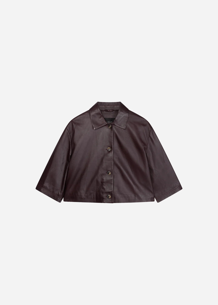 Blazer Studio AR