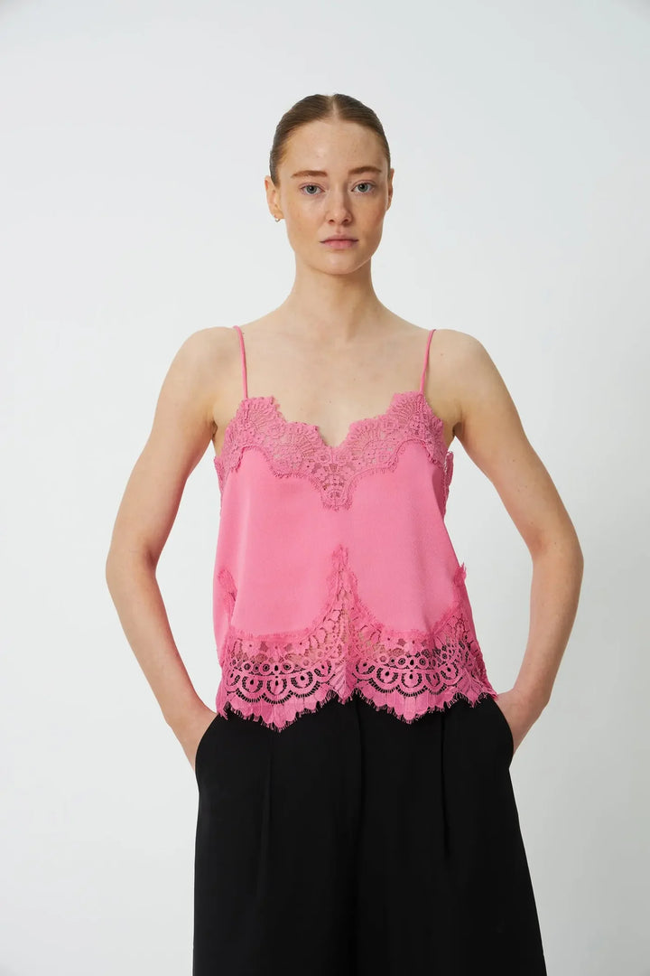 Top Stella Nova
